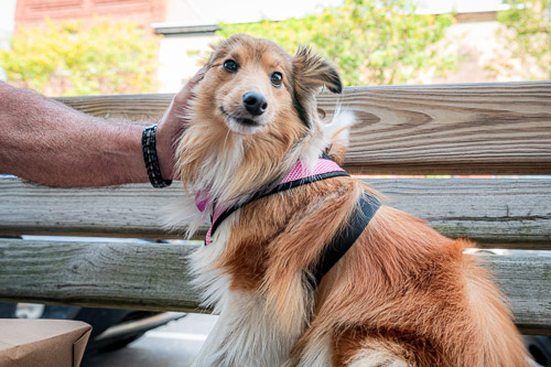 Watkins Glen, NY - Oct 2024